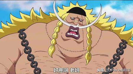 海贼王七武海排名,海贼王七武海实力排行