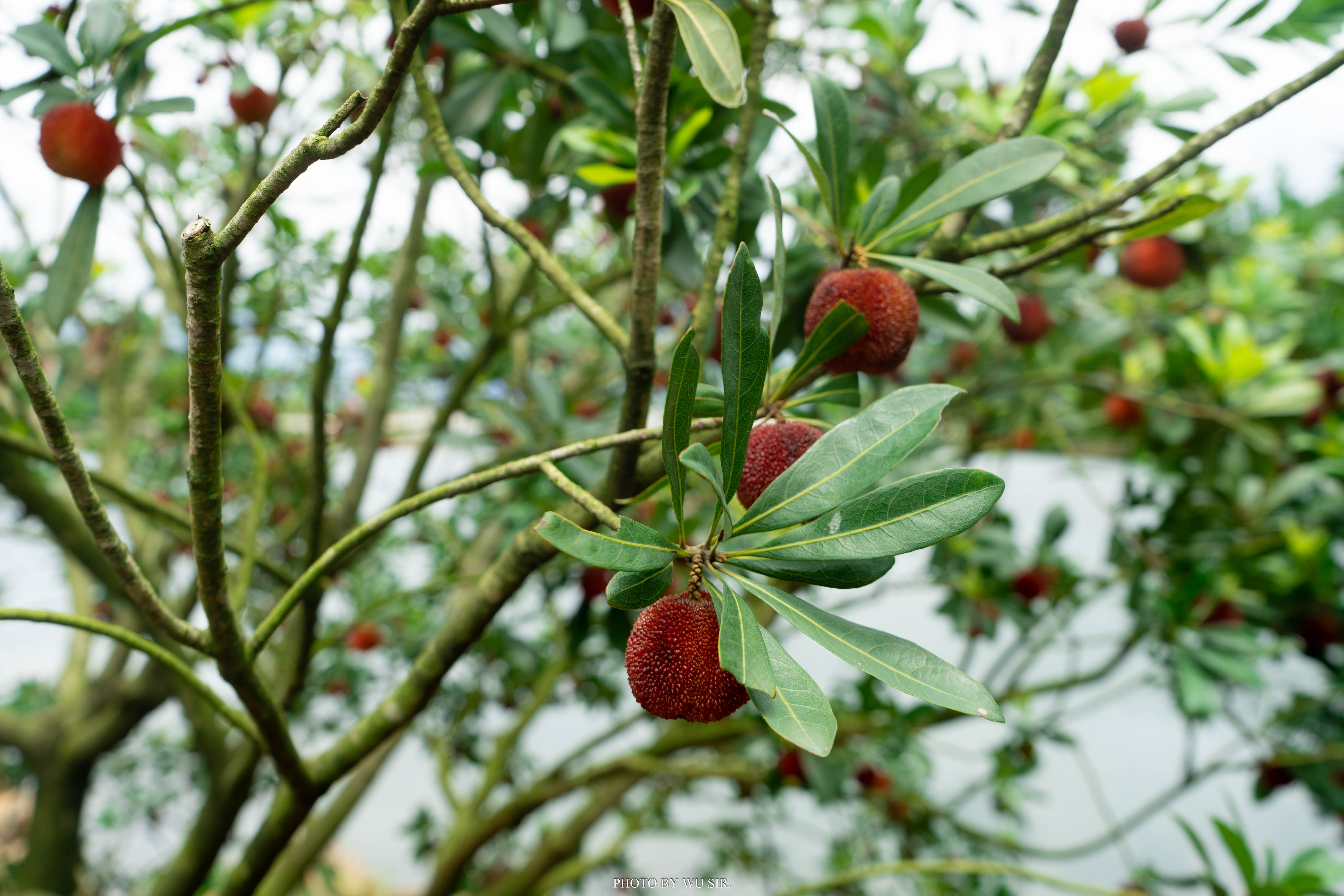 我与临海的三天两夜：从自然走向人文，从人文体悟生活