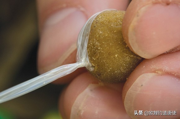 外国人钓鱼打窝技巧,老外用超大饵钓鱼
