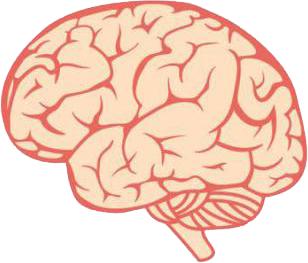 人为什么而生,人为何因死亡而出生