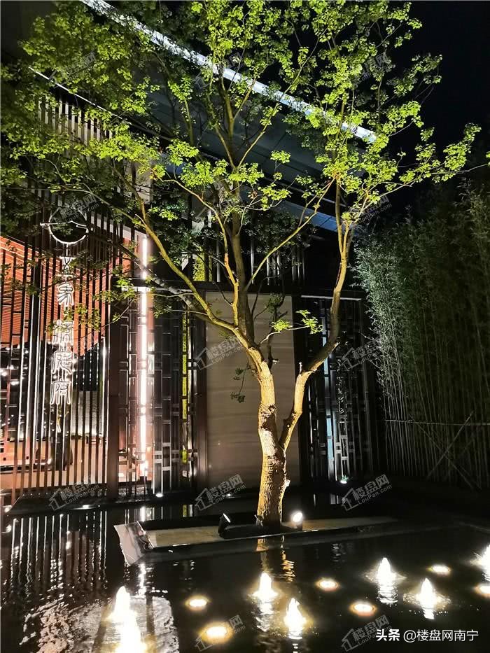 还没开售就抢票还是抢不到,还没开票就抢不到票了