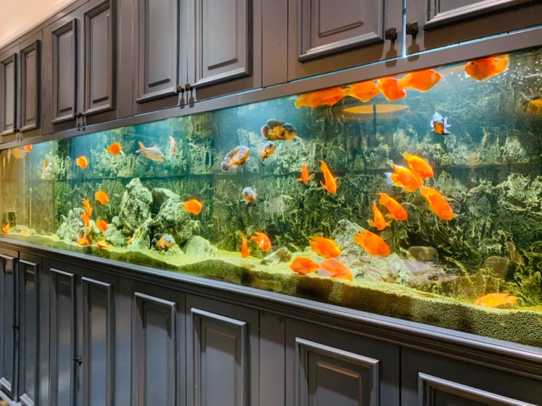 5000一顿的“名媛局”都拼了啥?