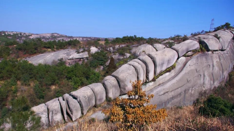 说走就走！温州这些轻户外项目等你冲冲冲！