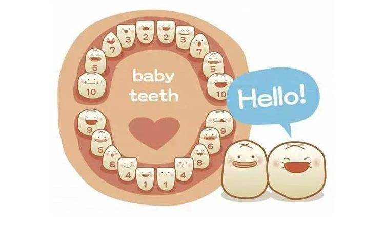 周岁还没长牙是什么原因,宝宝会不会一辈子不长牙