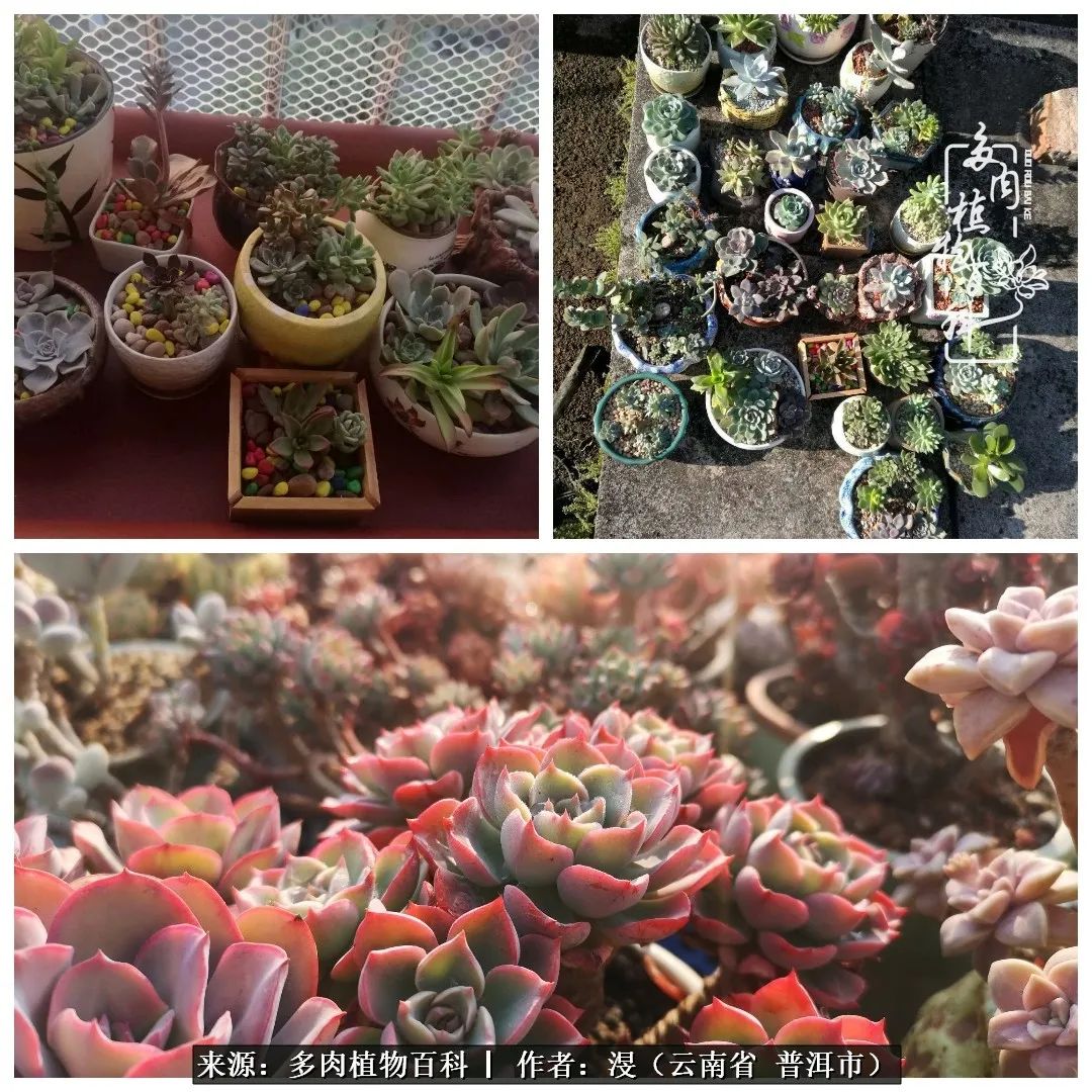 风过留痕讲的啥,风过留痕朗诵