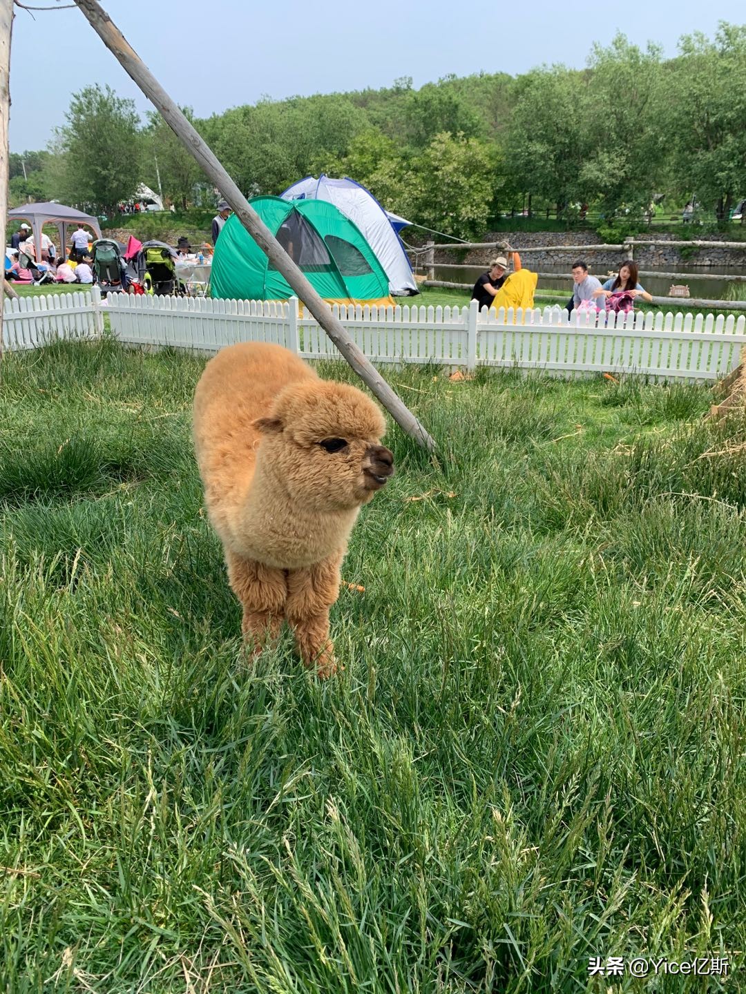 亿斯助力三寰牧场亲子活动，培养儿童饮水知识