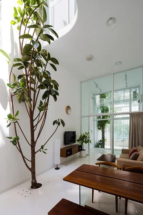 室内做的景观,室内景观打造过程