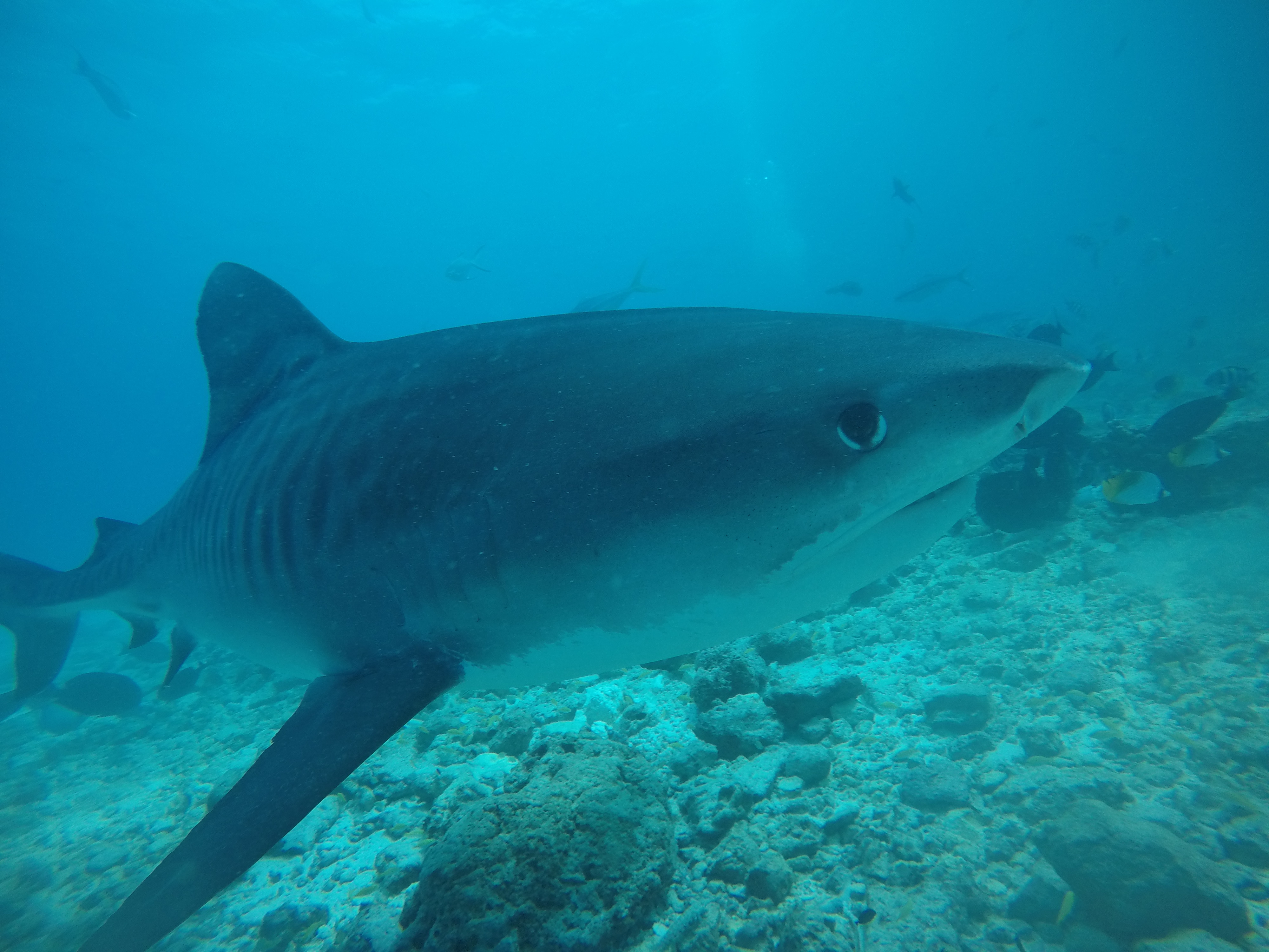 6000可以旅游的地方,6000元能去哪儿玩