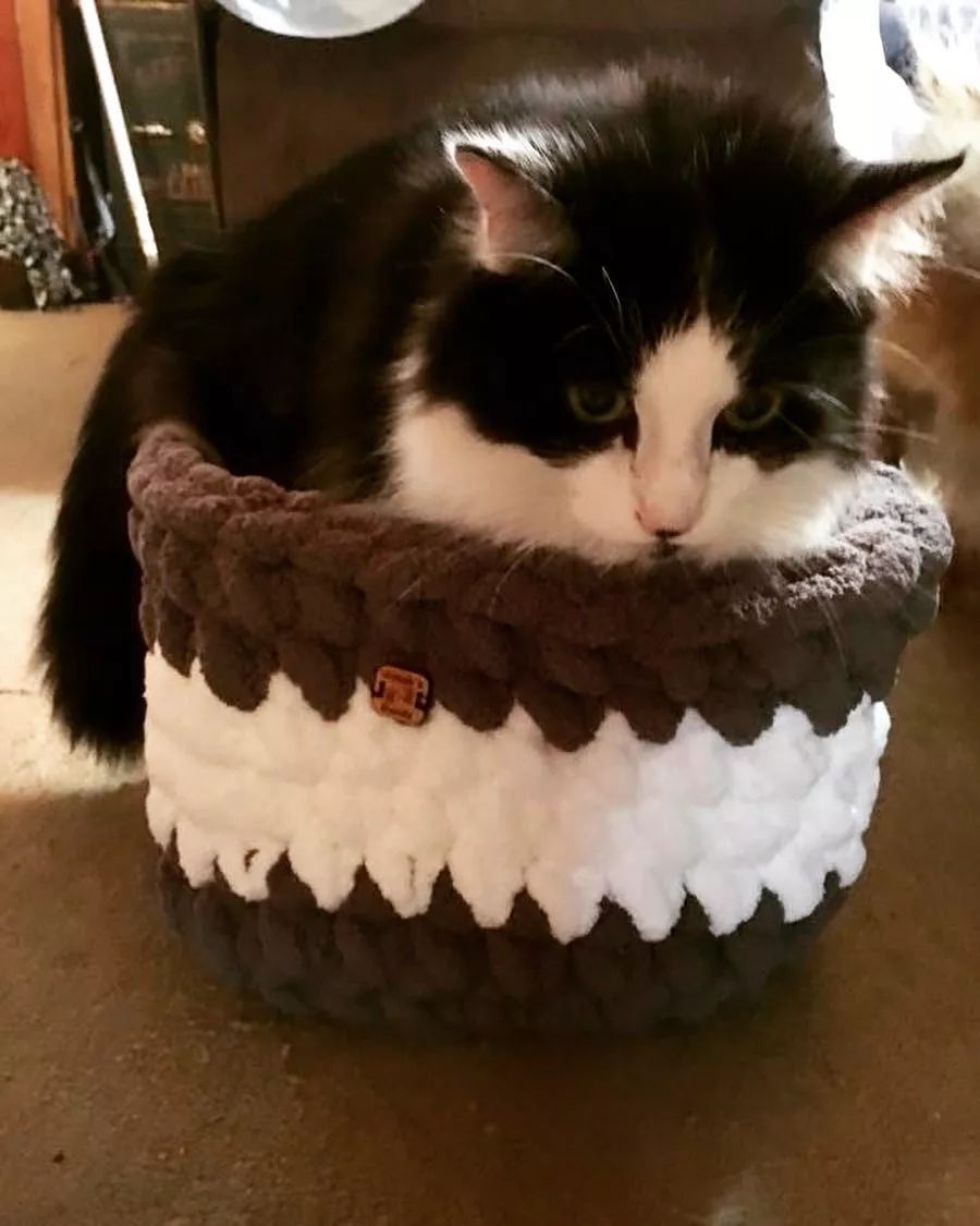 19万人看男生玩编织，他用钩针从弃婴，逆袭为美国“全民偶像”