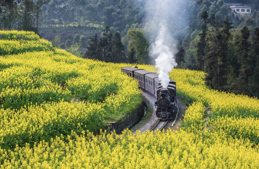 戴口罩的冬天太漫长，差点忘了中国的春天有多美