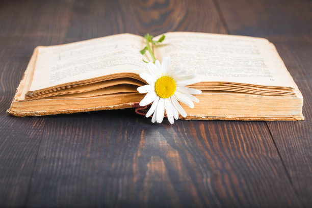 很想再见你一面但见到了又怎样,很想再见你哪怕匆匆一眼就别离