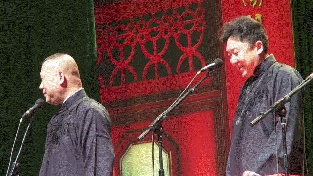 济南树状月季基地,济南藤本月季种植基地