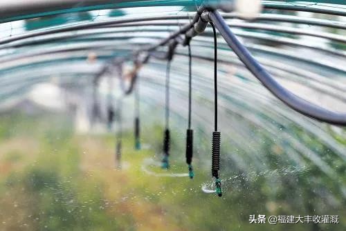 微喷灌溉设备全套喷头,微喷灌溉喷头原理
