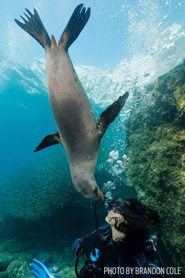 自由潜水怎么玩,潜水20个基本技巧