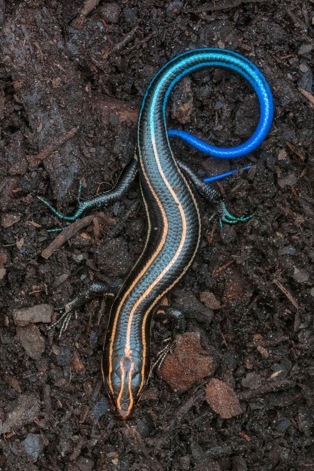 全身发抖的图片,全身发抖的照片