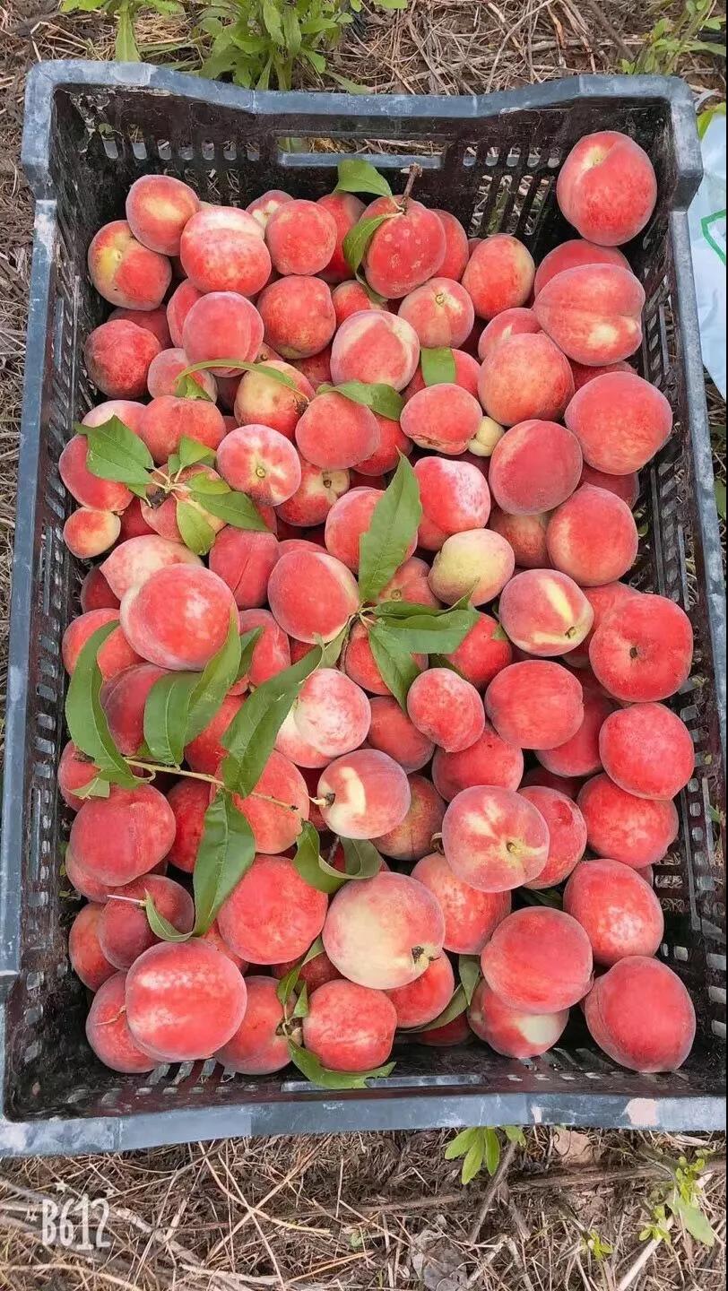 11月中旬羊狮慕景区,江西羊狮慕旅游攻略