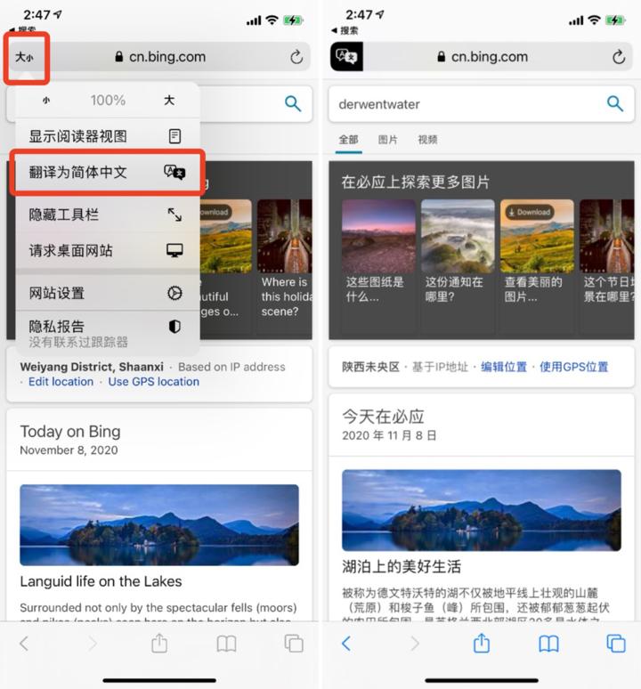 ios14safari浏览器扩展,iossafari如何翻译网页
