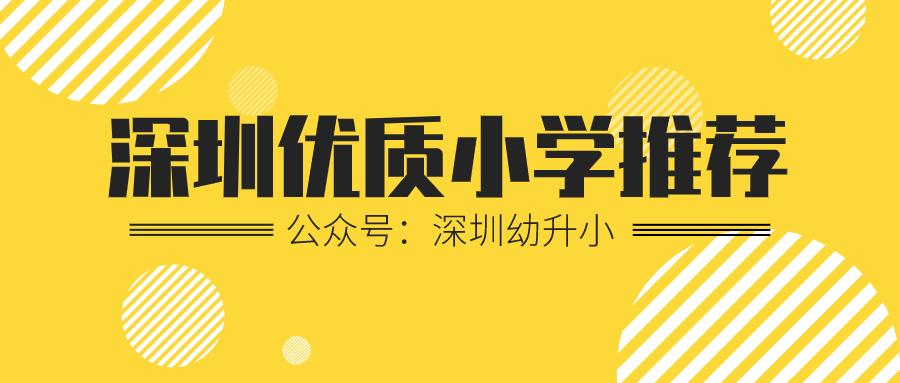 太抢手！深圳这所新晋公办学校积分超高，每班配备3名班主任