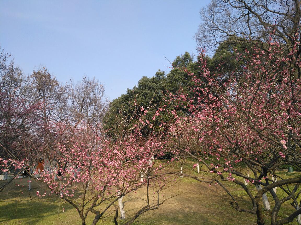 帮主去杭州,帮主离开的第一天