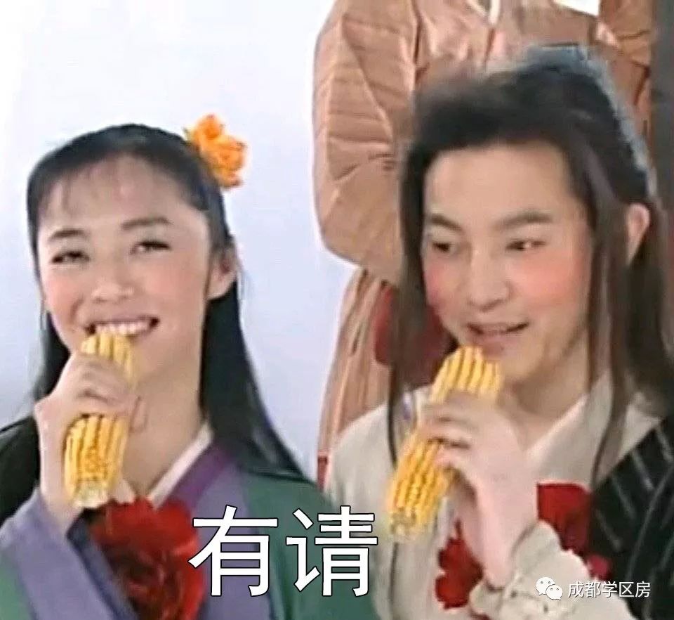 天府新区私立小学招生简章,天府新区第六小学对应初中