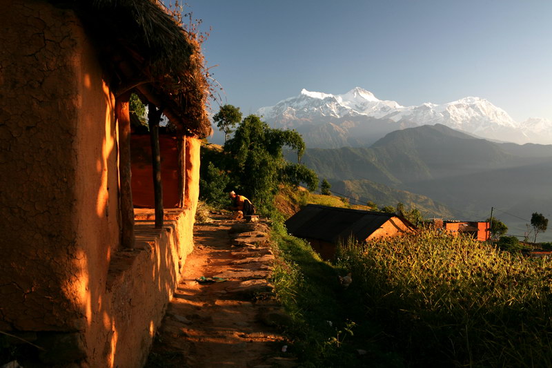 复活的世界全集,印度8天7晚旅游攻略