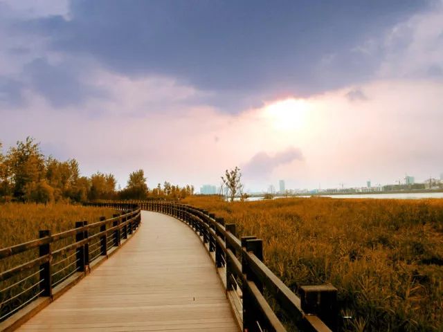 遂宁70年,四川遂宁70周岁补贴