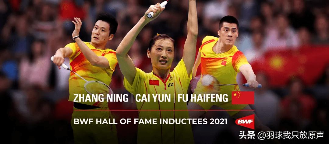 常青树我宁姐、精准犀利蔡大哥、势大力沉阿宝哥