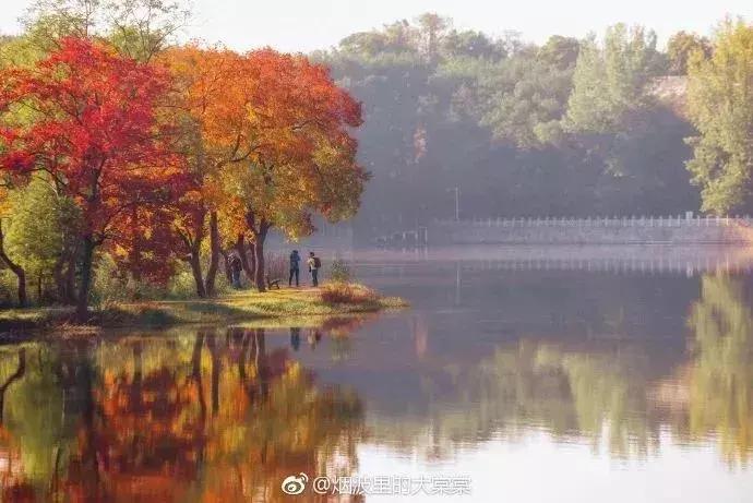 南京哪几个公园免费又好玩,南京莫愁湖公园免费