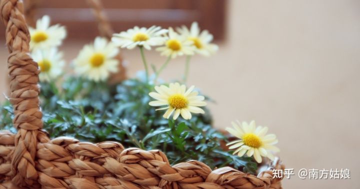 好学微客配音课程免费,好学微客教育传媒靠谱吗