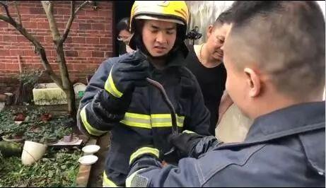 江西有60多种蛇，12种剧毒蛇，小心它们！