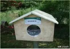 物业超值服务标准,物业贴心服务清单