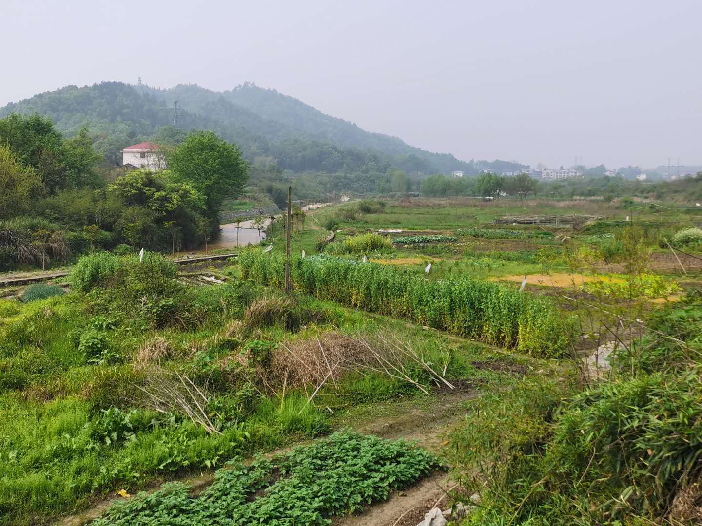 谭革文,涟源谭革文