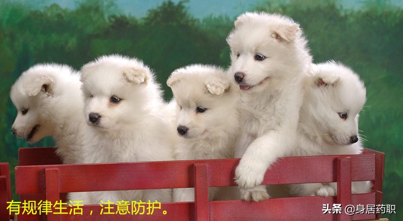 癌症患者术后的心路,癌症术后复发积极治疗