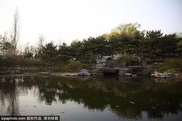 北京古塔公园推荐,北京最良心的古寺免费景点