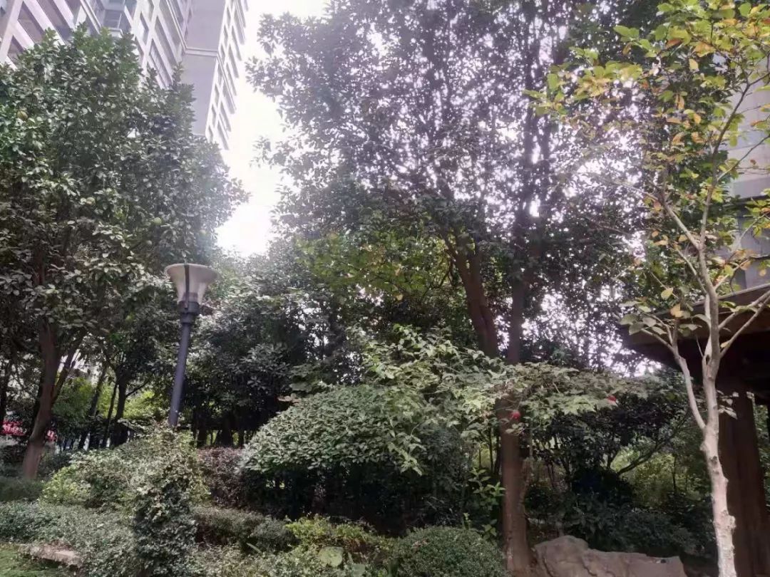 稀缺125平大三房中间楼层急售好房,精装房源急售地铁口三房