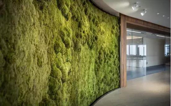 「首发」深圳湾第一高楼！400米“春笋”曝光，这办公室颜值……