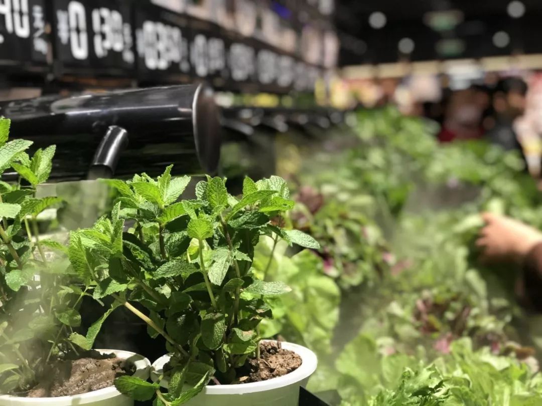 开店1小时就被挤爆:这家店凭什么让人感动到哭