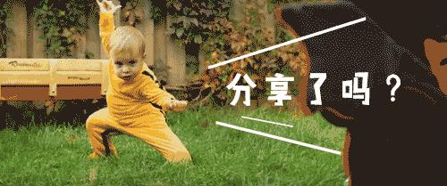 双11必买大牌好物,双11必买的小件