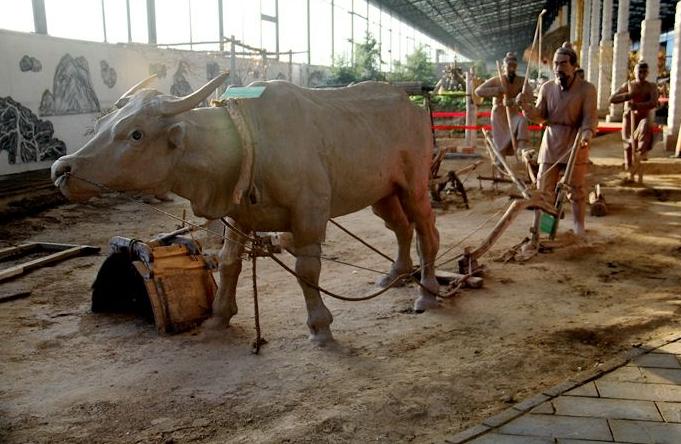 唐朝的租庸调制属于人头税吗,唐朝的租庸调制与两税法的比较