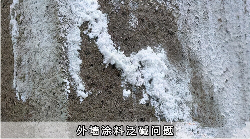 小苏打配白醋能去除墙面霉斑,墙面泛碱擦白醋有用吗