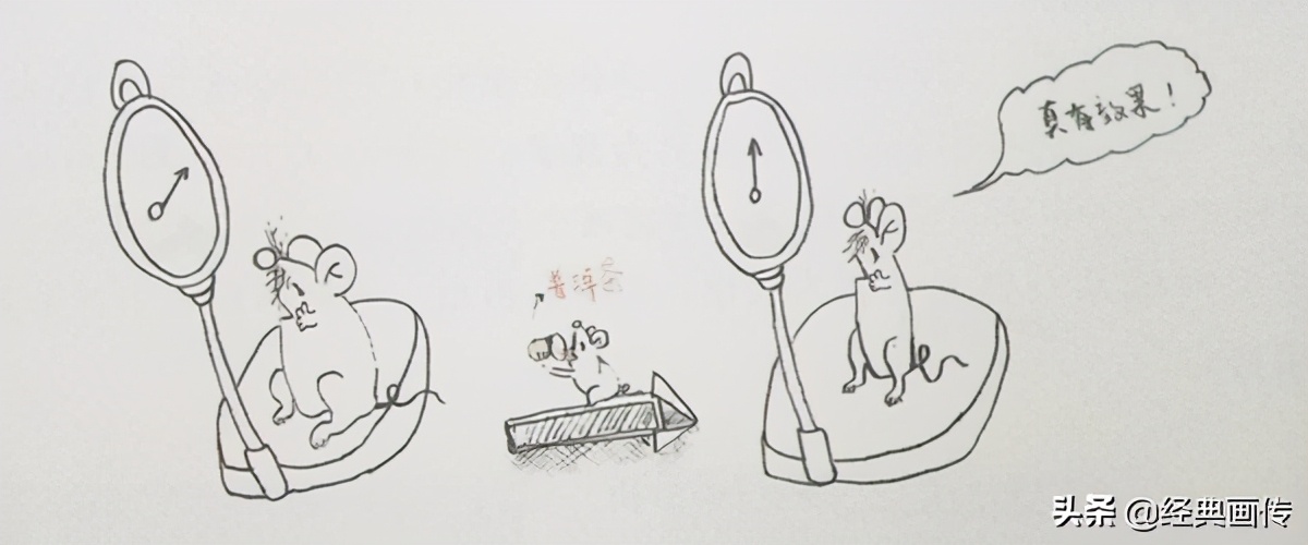 苹果普洱茶能减肥吗,普洱茶可以减肥降压