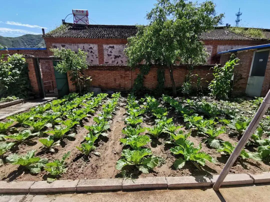 有人说北京农村院子年租金太高，5户农民网上出租院子揭价格真相