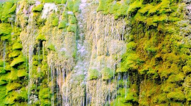 励志阳光把握当下正能量句子,阳光心态的心情语录句句正能量