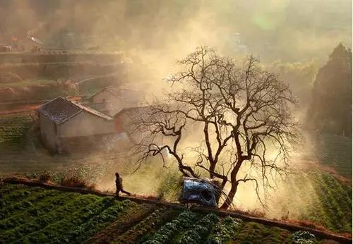 十大经典摄影题材,最好的摄影题材