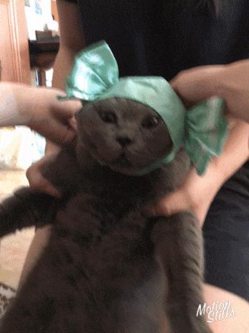 厌倦了红黄棕不妨来款高级感发色,厌倦了高级黑白灰