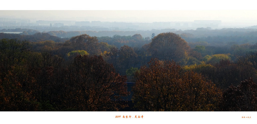 六朝金粉和金陵雨花台,六朝金粉地最忆是金陵啥意思