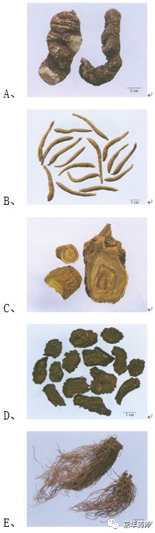 执业药师2021年中药一真题,执业药师中药一考题解析