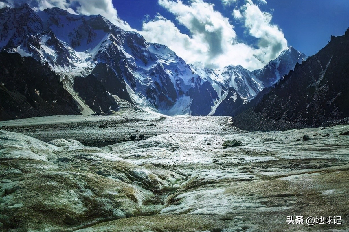 *疆新**:随着环境慢慢变好,*疆新**正在迎来复苏,该不该人工干预