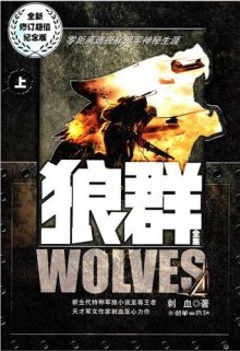 小兵传奇小说完整版在线看,小兵传奇飘渺之旅