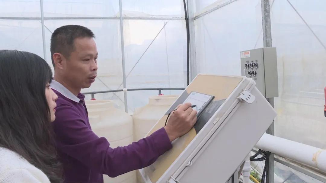 特色农业致富模式,农业致富新道路